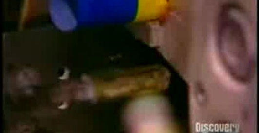 Производство жевательной резинки