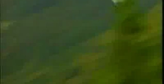 Класный клип. Полет истребителей!