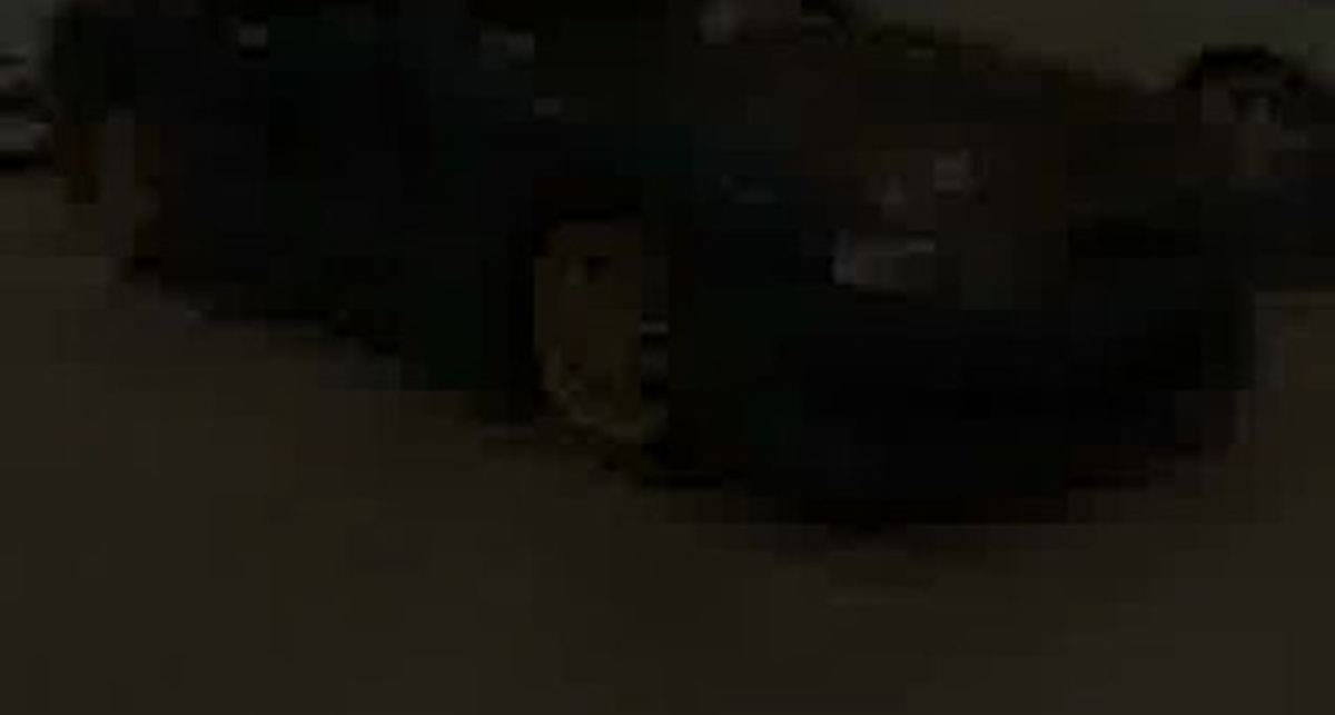 Выставка у меня еще 12шт...