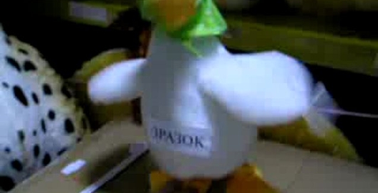 Сумасшедшая поющая утка