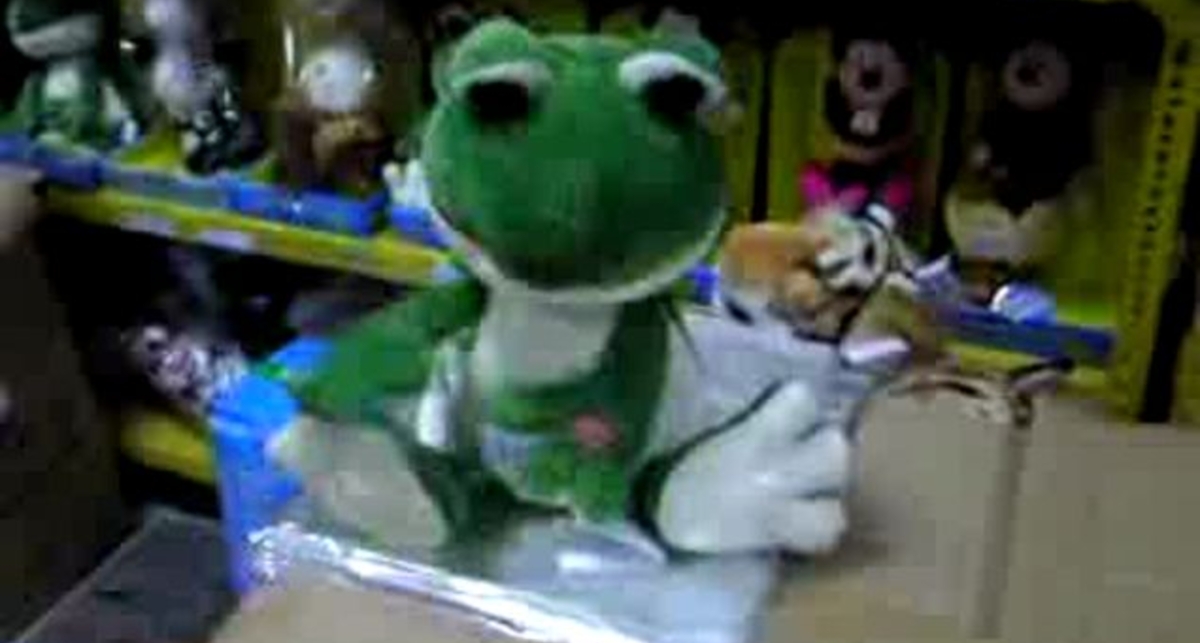 Поющая зеленая лягушка