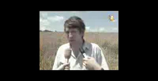 круги на полях