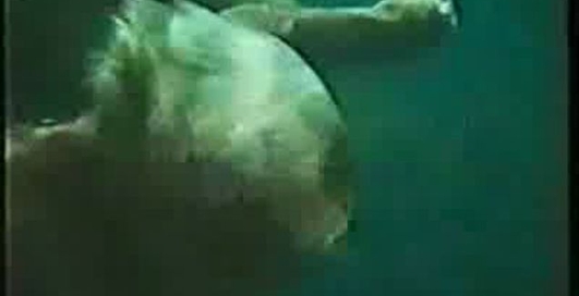 ЭПОХА ВОДОЛЕЯ.