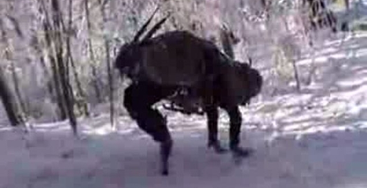 Достижения роботостроения - Big Dog - 2