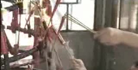 Стволовые клетки