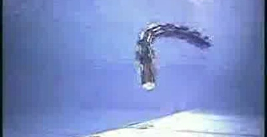 Чудо техники: робот в виде змеи плавает в воде