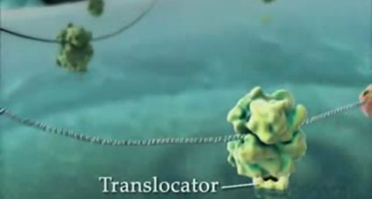 Впечатляющая жизнь внутри клеток! (The Inner Life of the Cell)