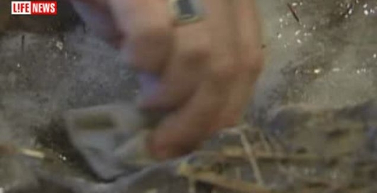 Мамонтенок Люба