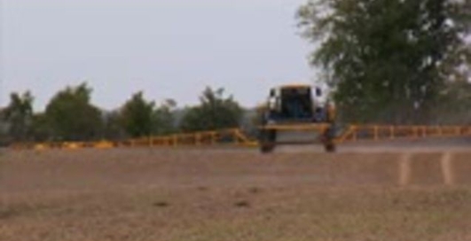 Американский фашизм