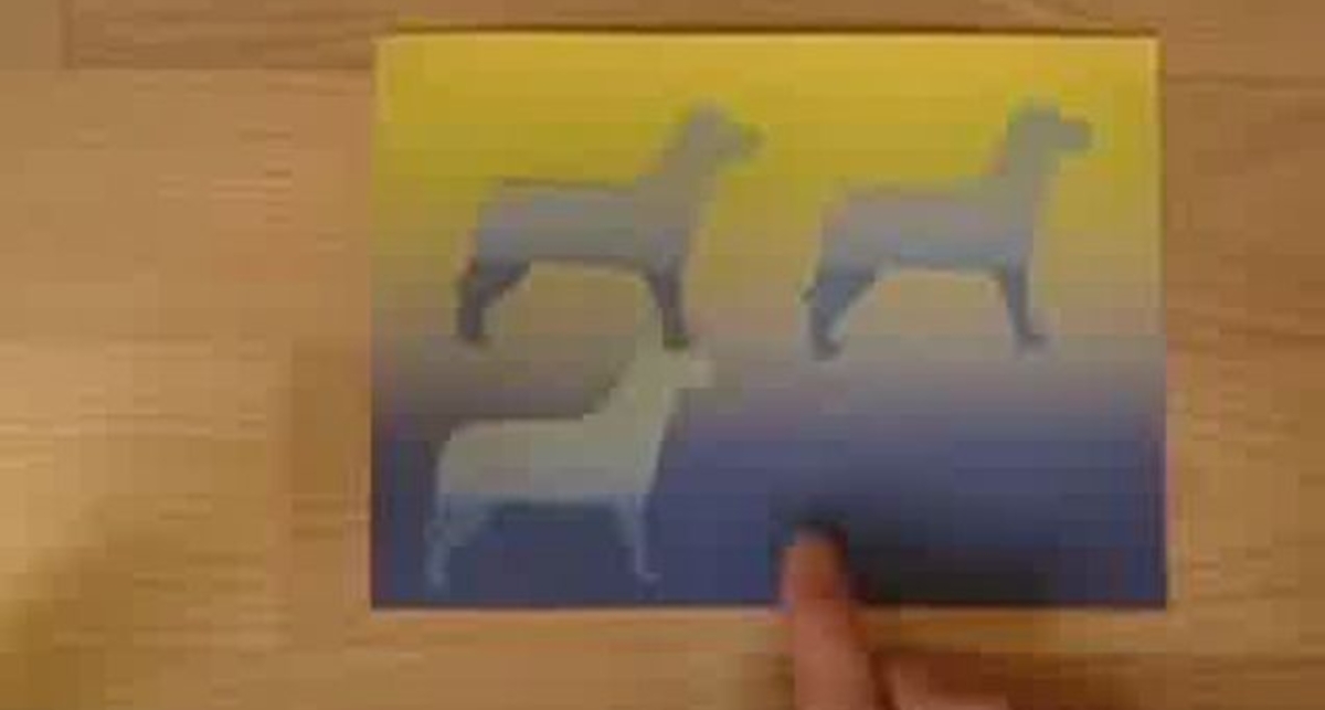 Интересная оптическая иллюзия с цветом