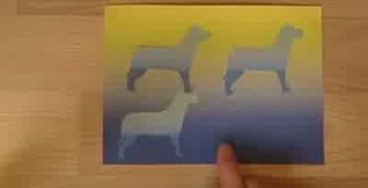 Интересная оптическая иллюзия с цветом