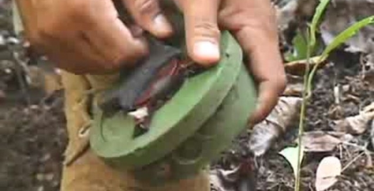 Бесстрашный Индус-сапёр проводит разминирование