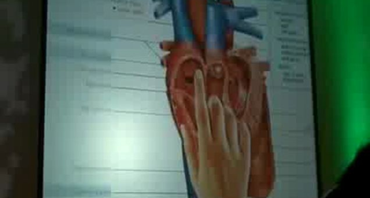 Книги для iPad