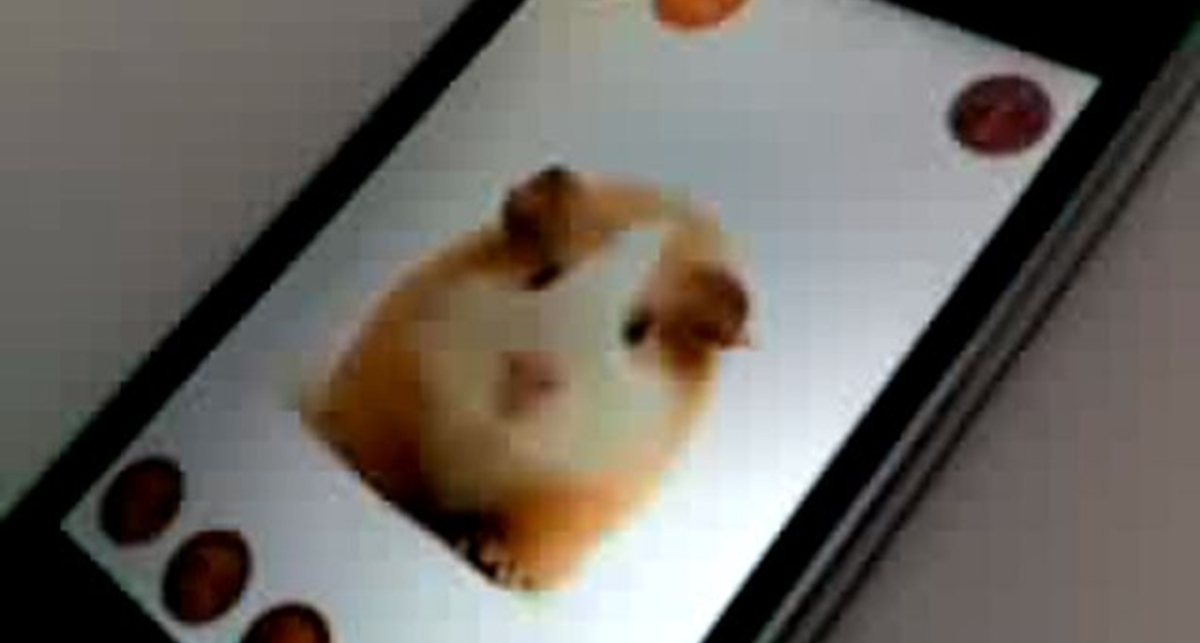Хомяк повторюха на Iphone