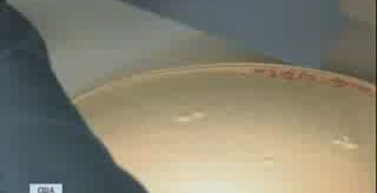 Синтия - первый в мире синтетический организм