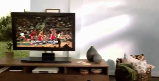 Videoscape для дома