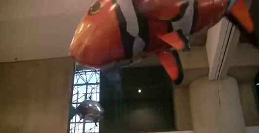 Прикольные шарики