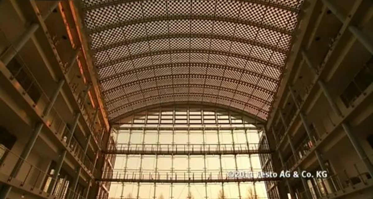 Робот-птица SmartBird