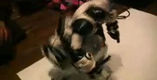 Битва роботов