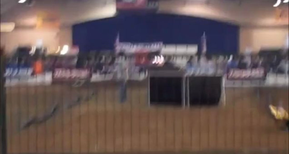 RCX 2011 Nitro Buggies