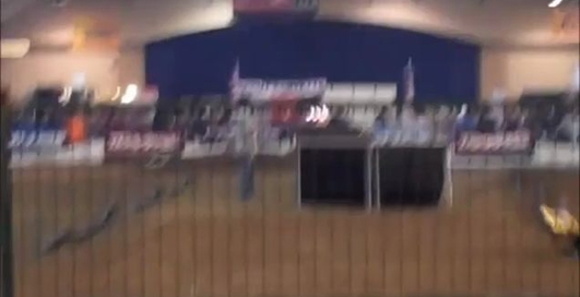 RCX 2011 Nitro Buggies