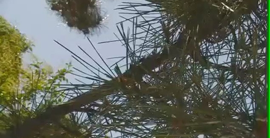 JawSaw - полезный на даче инструмент