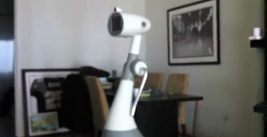 RoboDynamics Luna - персональный робот за $1000