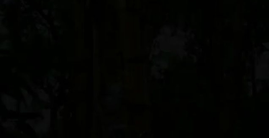 Лазающий по деревьям робот Treebot