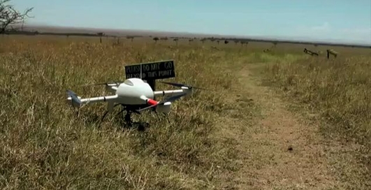 Квадрокоптер в африканской саванне