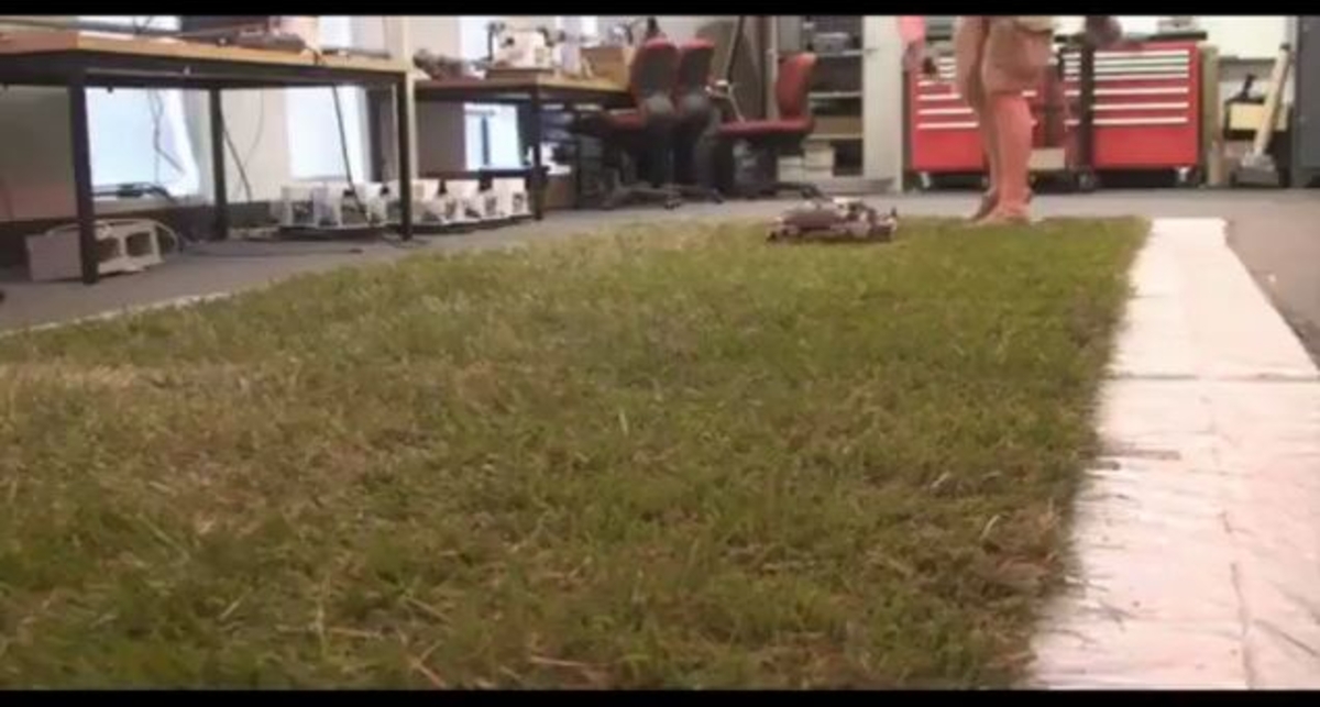 Механический таракан