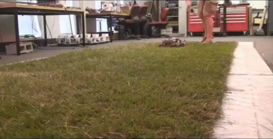 Механический таракан