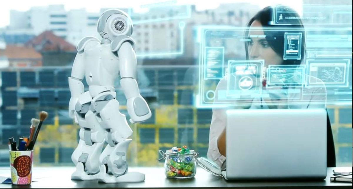 NAO Developer Program