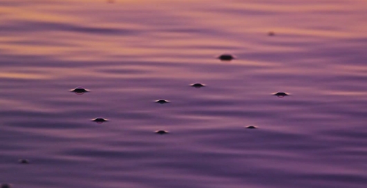 RED EPIC-М - качество съёмки этой камерой