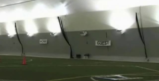 Радиоуправляемое кленовое семя