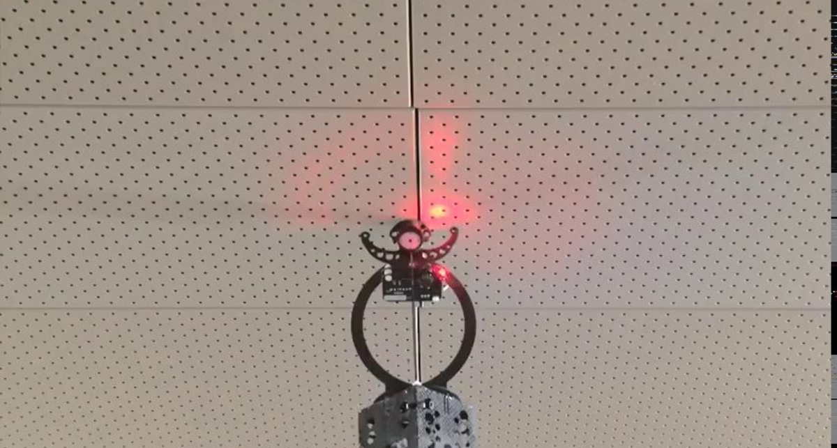 Проект Swarmanoid