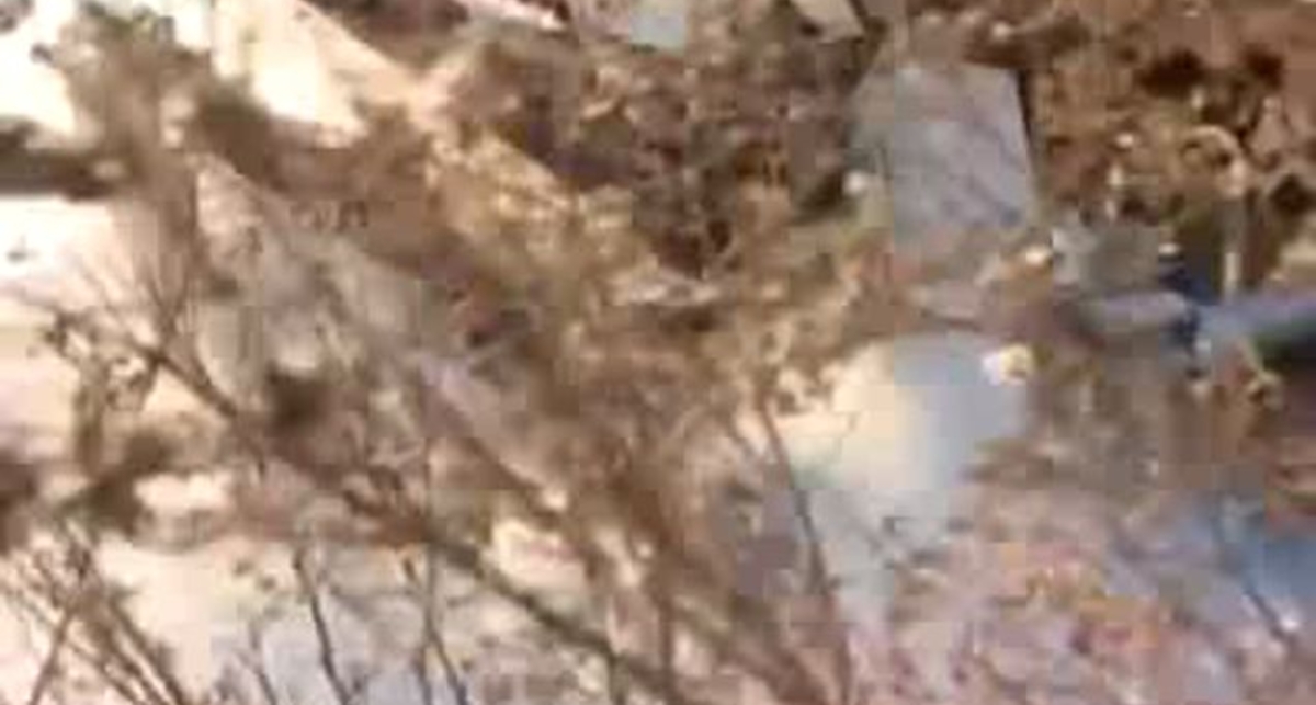 Мощные вездеходы - бездорожье им не помеха