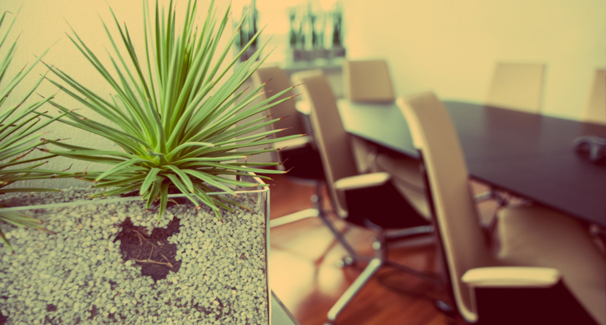 Комнатные растения: для чего их стоит завести