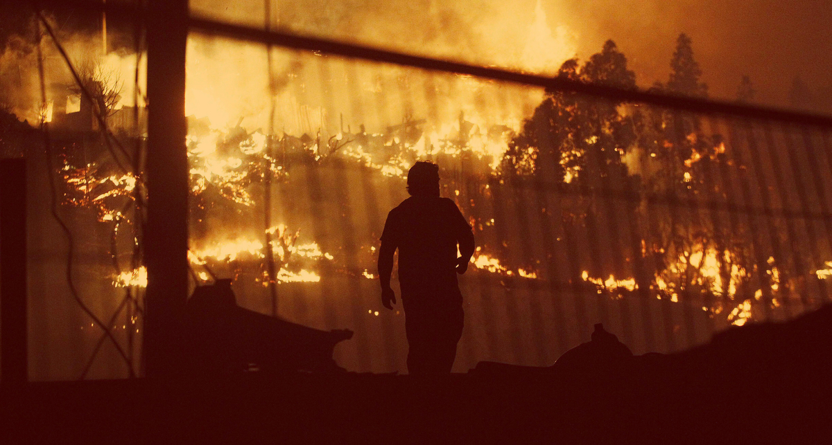 Лесной пожар: как выжить в такой ситуации
