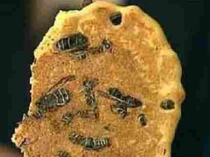 ТОП-5 самых ужасных блюд в мире ТОП-5 самых ужасных блюд в мире