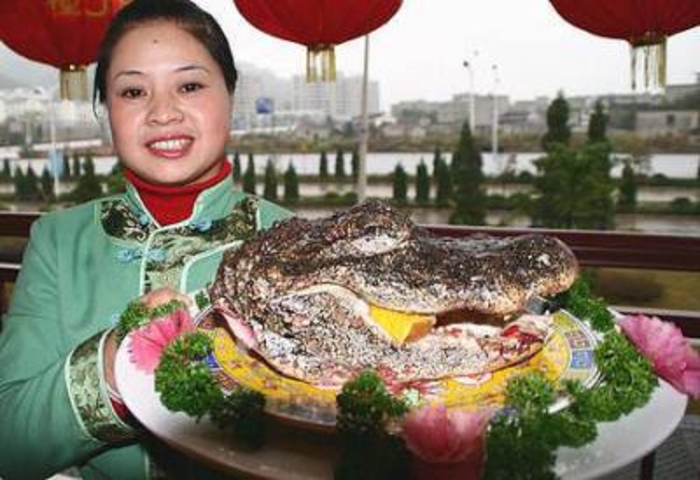 ТОП-5 самых ужасных блюд в мире ТОП-5 самых ужасных блюд в мире