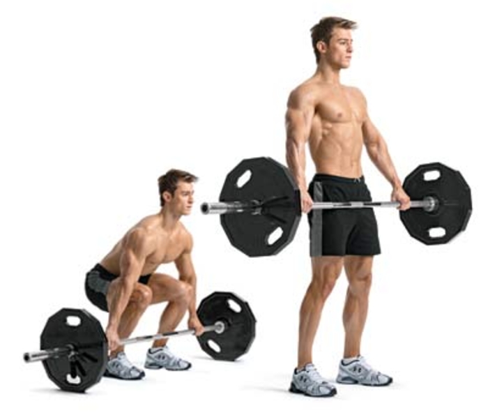 Вечная молодость: наконец-то раскрыт ее секрет Вечная молодость: наконец-то раскрыт ее секрет