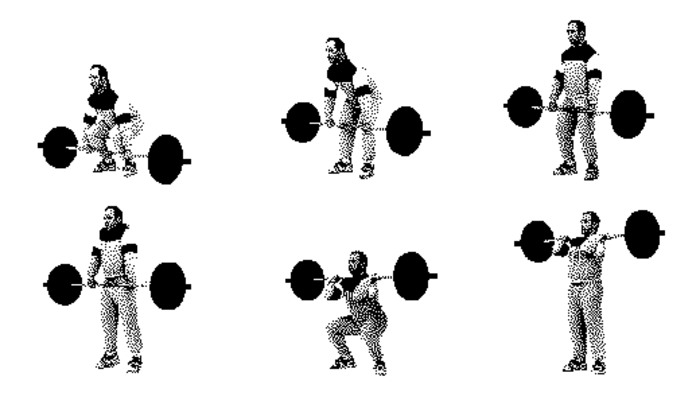 Вечная молодость: наконец-то раскрыт ее секрет Вечная молодость: наконец-то раскрыт ее секрет