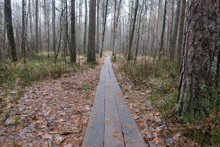 Пешком вокруг Украины: первый отчет путешествия