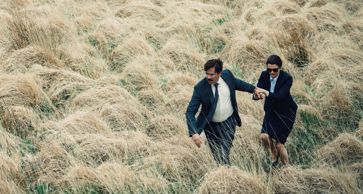 Лето, море, кино: 5 самых интересных фильмов Одесского кинофестиваля