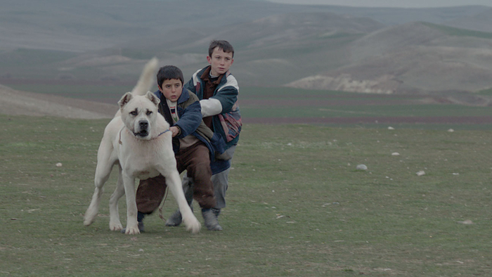 Онлайн-самоубийства, собачьи бои и спящая реальность. ОМКФ: гид по первым дням Онлайн-самоубийства, собачьи бои и спящая реальность. ОМКФ: гид по первым дням