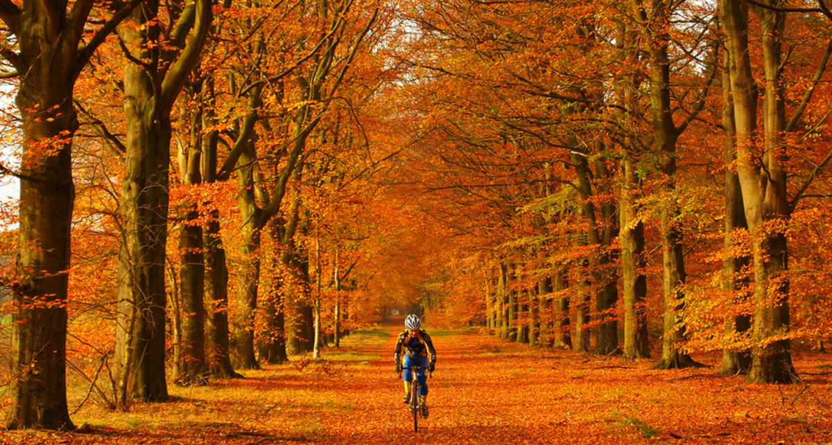 Осенний лукбук велосипедиста: 10 аксессуаров