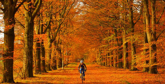 Осенний лукбук велосипедиста: 10 аксессуаров