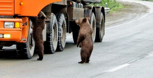 Сделано в СНГ: ТОП-17 смешных фото