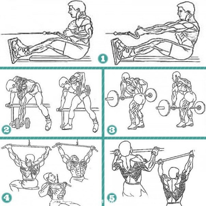 Качаем мышцы спины: 5 проверенных упражнений