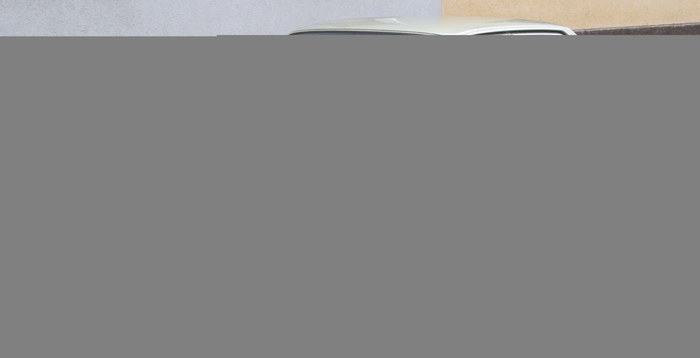 "Кретины" и "Гениталии": 20 нелепых названий авто